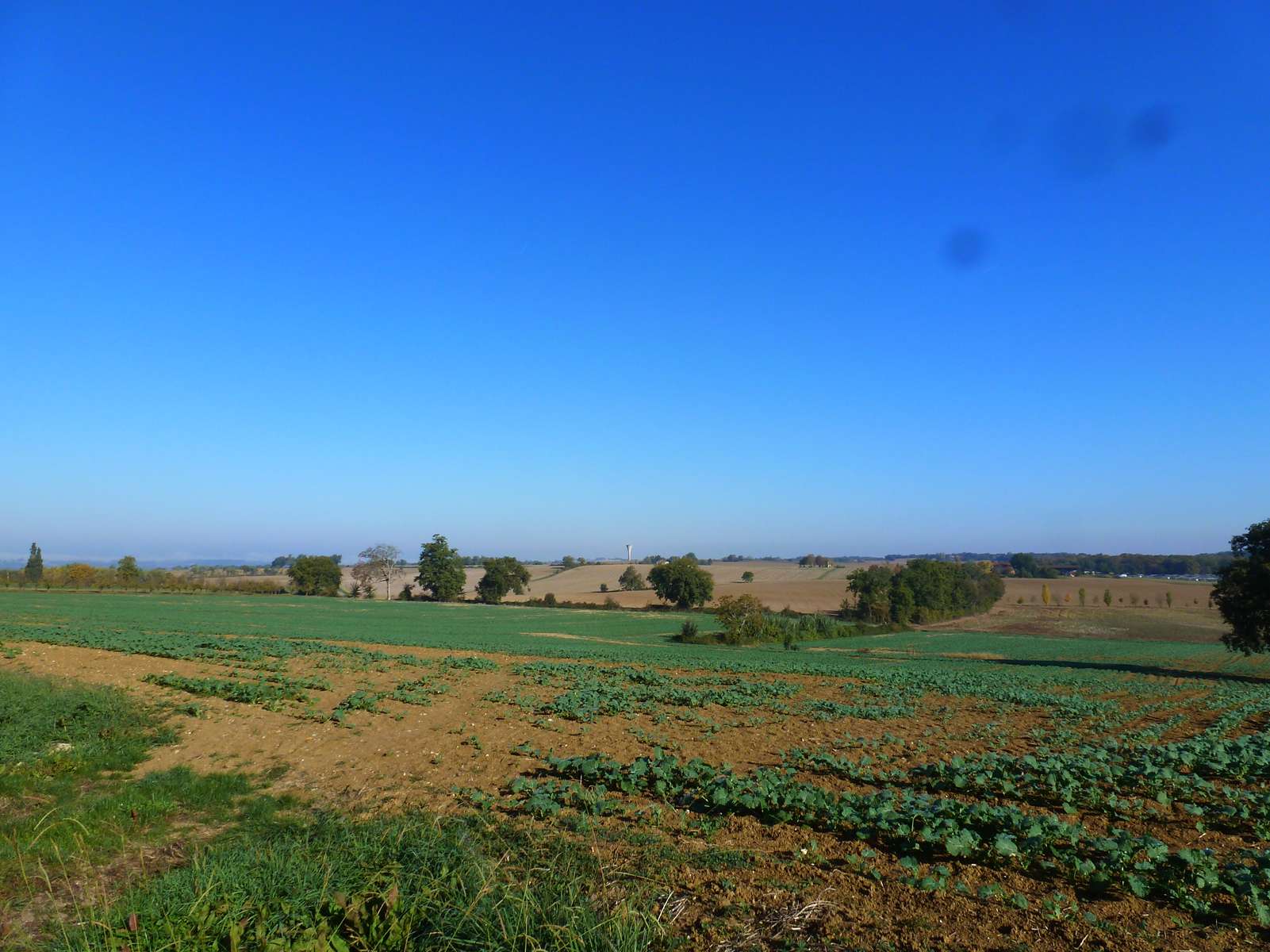 Exclusivite-Propiete-Artigue-Moncrabeau-Maison-Pierre-Vue-Campagne-AMGH-IMMOBILIER